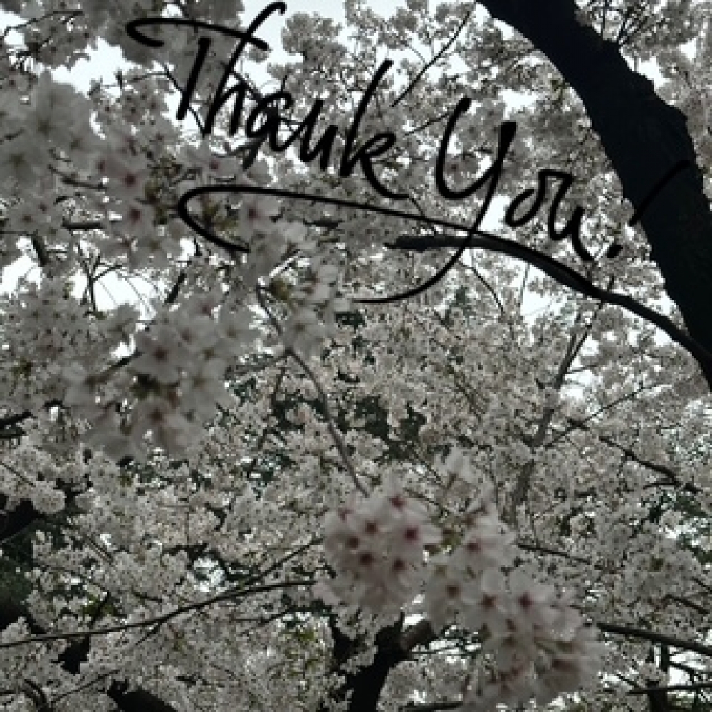 image0.jpeg