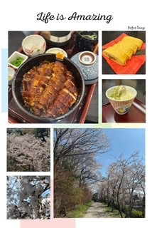 あき☆元気になる(≧∇≦)