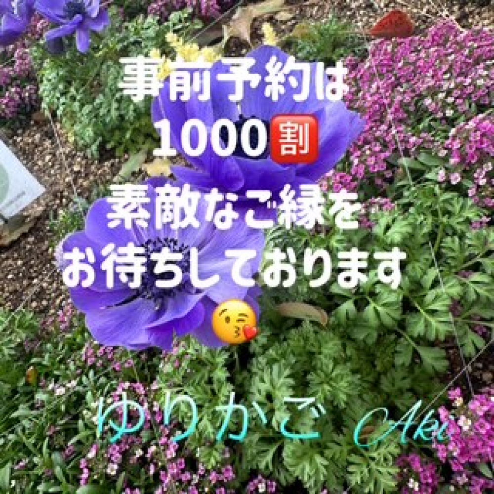 image1.jpeg