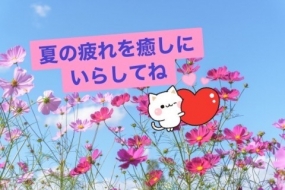 お久しぶりです、あすかです