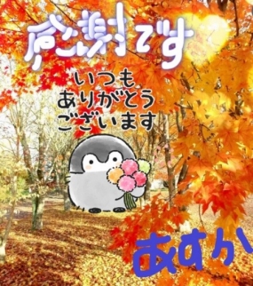 お礼＆次回11/6(木)出勤◎あすか